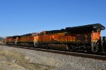 BNSF 3997 Roster shot